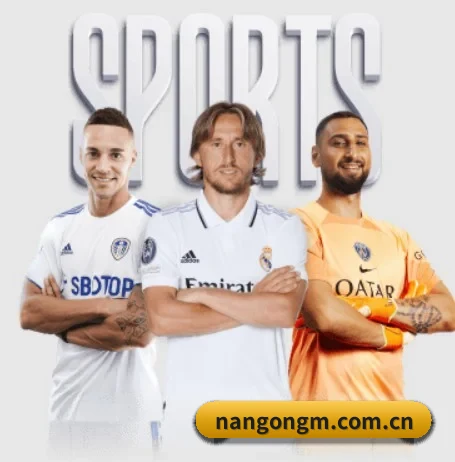 每个板块围绕一个运动项目展开